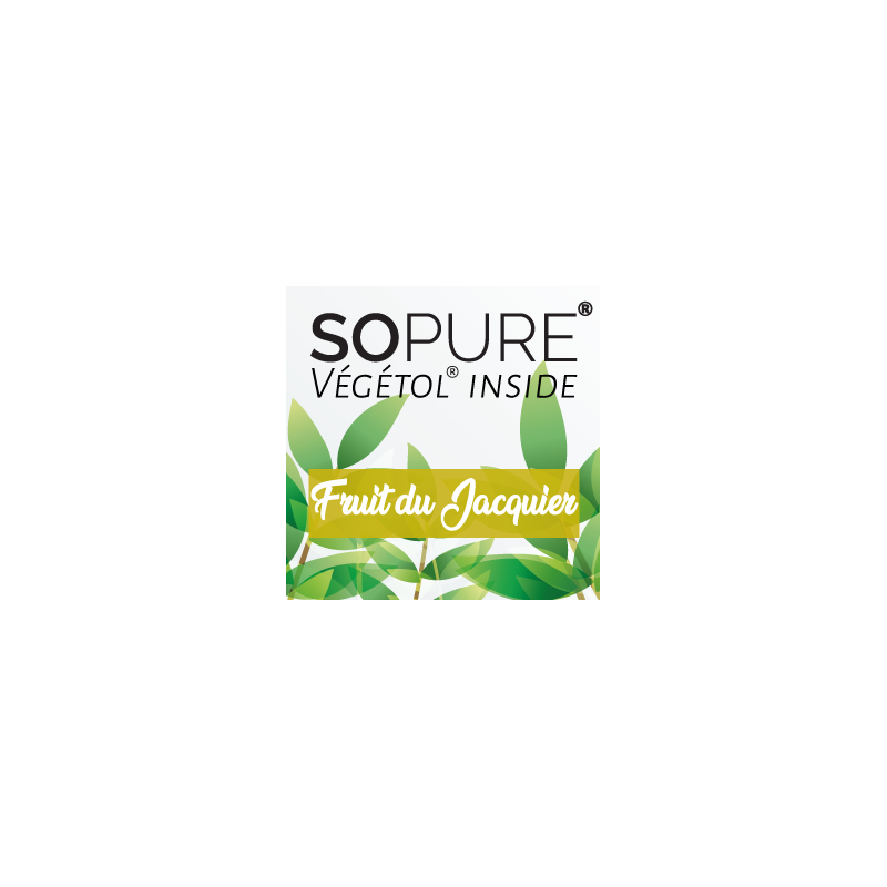 Fruit du Jacquier